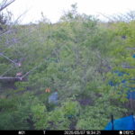 May 7 2025 18:34:21, #01