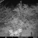 May 7 2025 21:34:21, #01