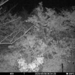 May 8 2025  0:34:20, #01