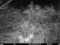 May 8 2025  0:34:20, #01