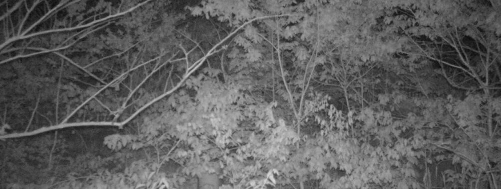 May 8 2025  3:34:19, #01
