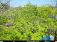 May 8 2025 12:34:19, #01