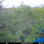 May 8 2025 18:34:21, #01