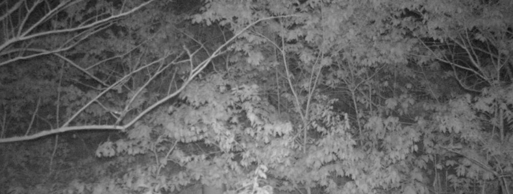 May 8 2025 21:34:21, #01