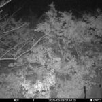 May 8 2025 21:34:21, #01