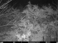May 8 2025 21:34:21, #01
