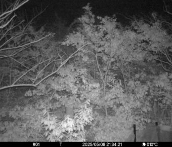 May 8 2025 21:34:21, #01
