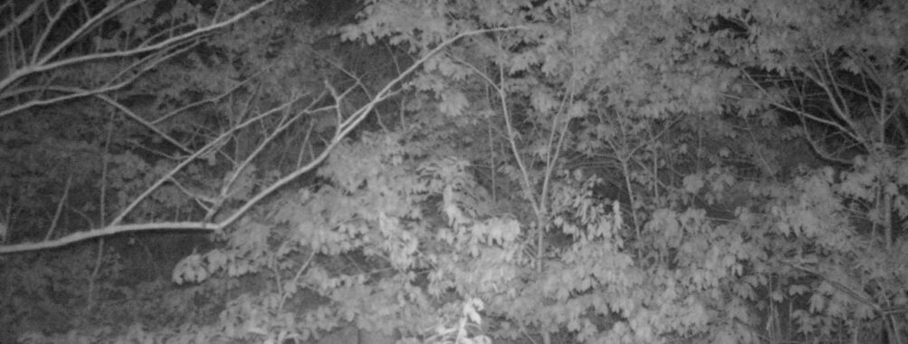 May 9 2025  0:34:20, #01