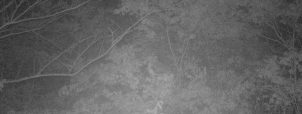 May 9 2025  3:34:19, #01