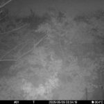 May 9 2025  3:34:19, #01