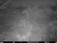 May 9 2025  3:34:19, #01