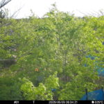 May 9 2025  6:34:21, #01