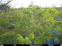 May 9 2025  6:34:21, #01