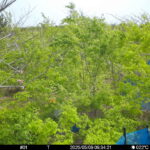 May 9 2025  9:34:20, #01