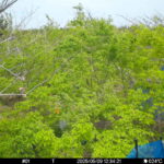 May 9 2025 12:34:21, #01