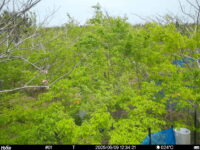May 9 2025 12:34:21, #01