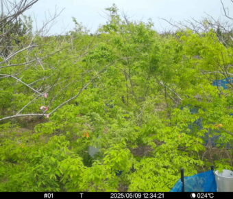 May 9 2025 12:34:21, #01