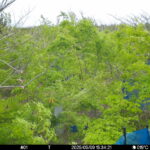 May 9 2025 15:34:21, #01