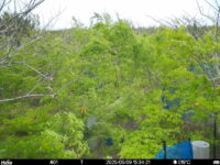 May 9 2025 15:34:21, #01