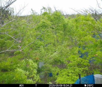 May 9 2025 15:34:21, #01