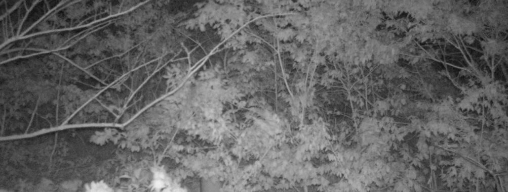 May 9 2025 21:34:21, #01