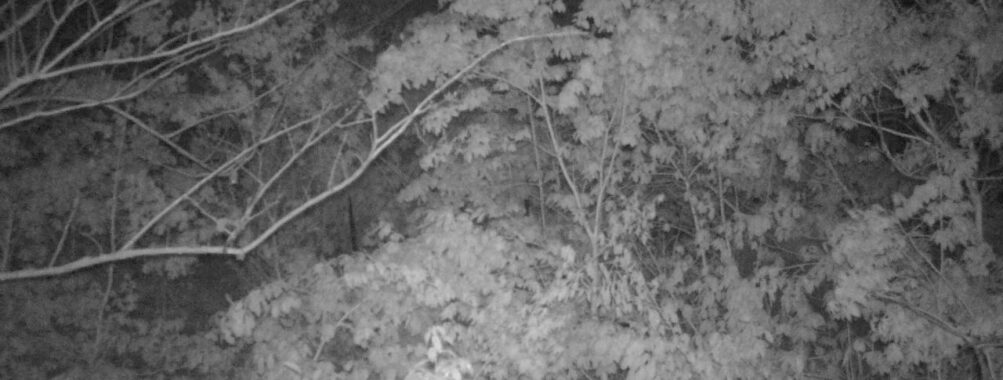 May 10 2025  0:34:20, #01