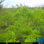 May 10 2025  6:34:21, #01