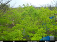 May 10 2025  6:34:21, #01