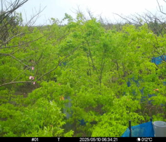 May 10 2025  6:34:21, #01