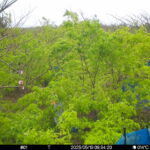 May 10 2025  9:34:20, #01