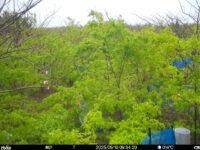 May 10 2025  9:34:20, #01