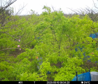May 10 2025  9:34:20, #01