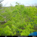 May 10 2025 12:34:21, #01