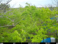 May 10 2025 12:34:21, #01
