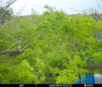 May 10 2025 12:34:21, #01