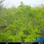 May 10 2025 15:34:21, #01