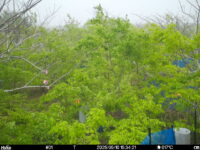 May 10 2025 15:34:21, #01
