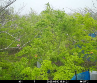 May 10 2025 15:34:21, #01