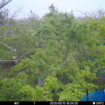May 10 2025 18:34:20, #01