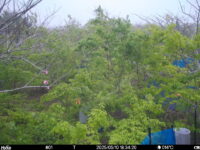 May 10 2025 18:34:20, #01