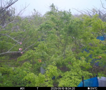 May 10 2025 18:34:20, #01