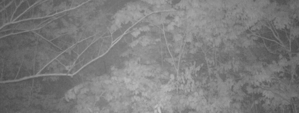 May 10 2025 21:34:21, #01
