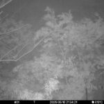 May 10 2025 21:34:21, #01