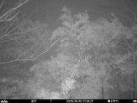 May 10 2025 21:34:21, #01