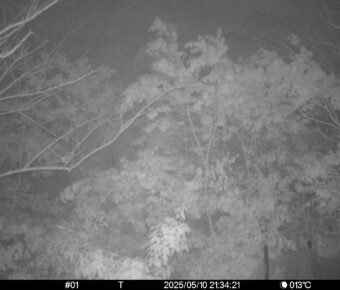 May 10 2025 21:34:21, #01