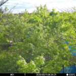 May 11 2025  6:34:21, #01
