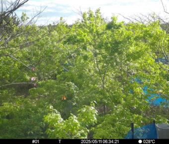 May 11 2025  6:34:21, #01