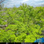 May 11 2025 12:34:21, #01