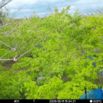 May 11 2025 15:34:21, #01