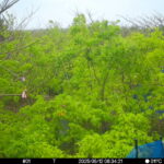 May 12 2025  6:34:21, #01